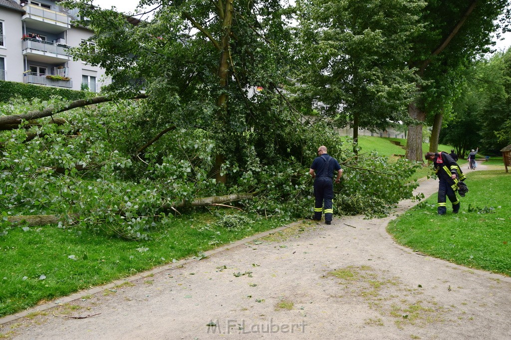 Baum umgestuerzt Koeln Vingst Waldstr P06.JPG - Miklos Laubert